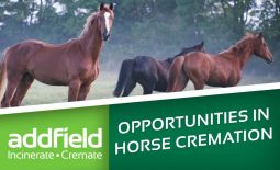 Your opportunities in Horse Cremation