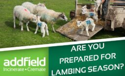 Be Prepared for Lambing Season