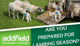 Be Prepared for Lambing Season