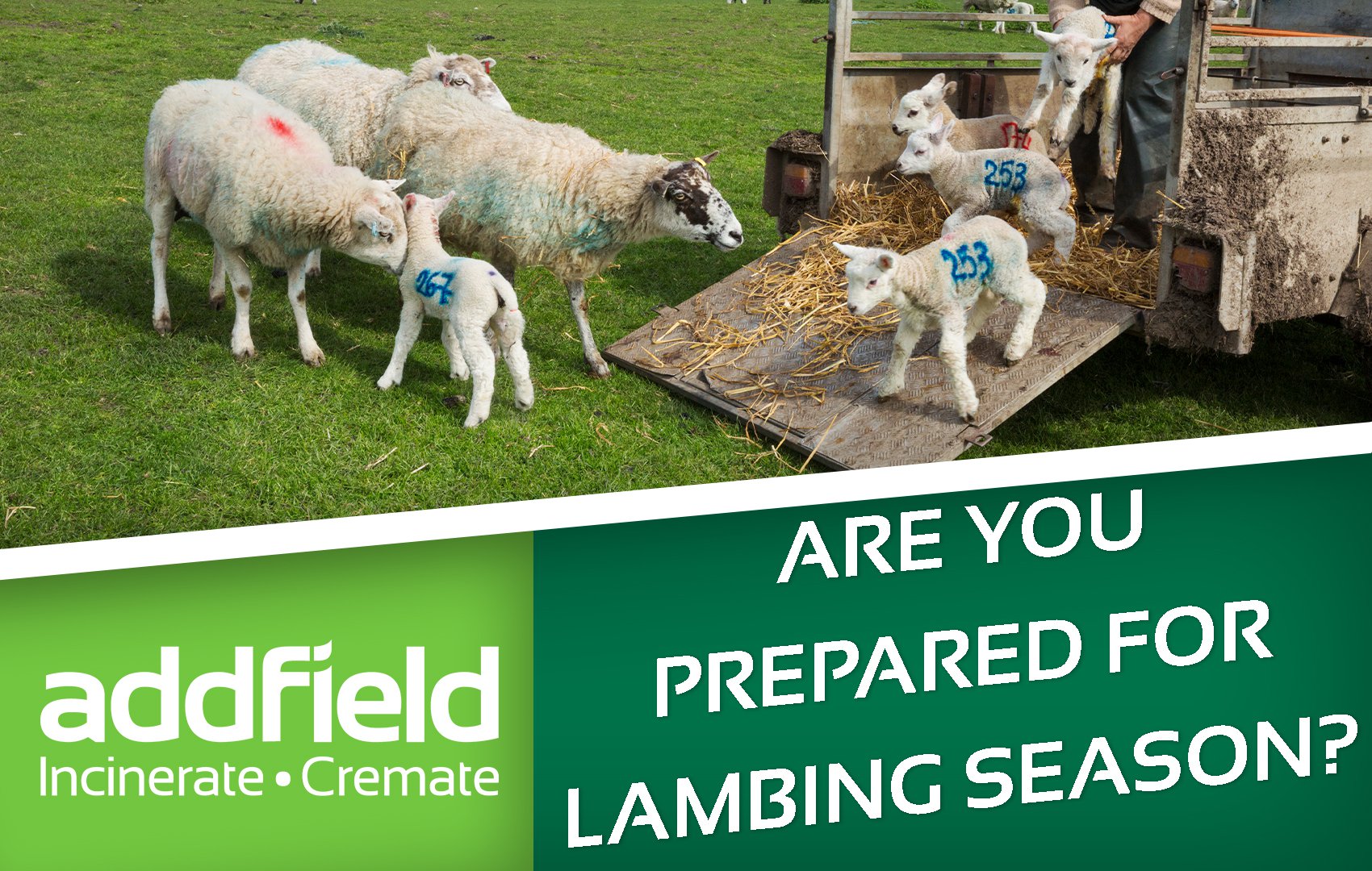 Be Prepared for Lambing Season