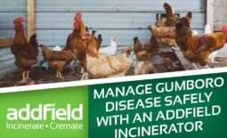 Gumboro Disease: Why On-Site Incineration Matters for Poultry Biosecurity