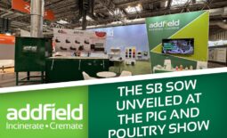 Managing the next generation of sows